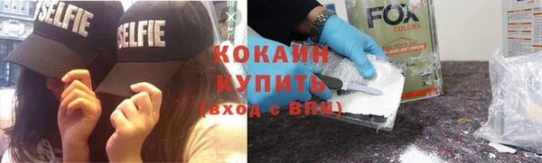 шишки Балахна