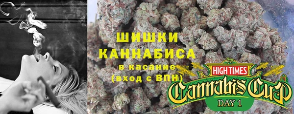 шишки Балахна