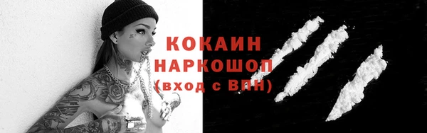 шишки Балахна