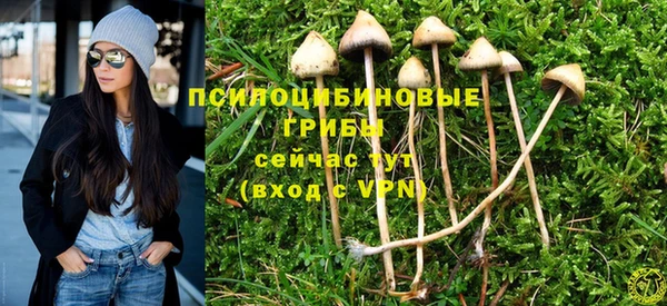 шишки Балахна