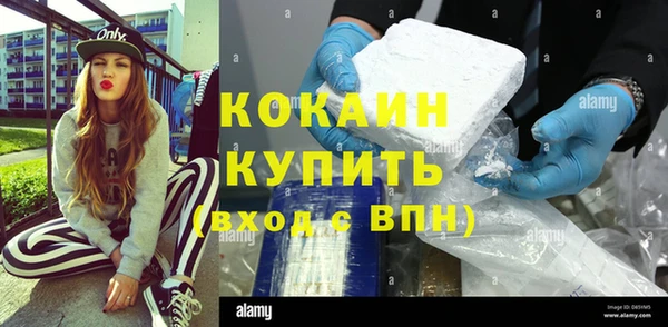 шишки Балахна