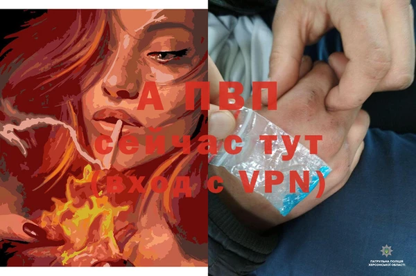 марки lsd Балабаново