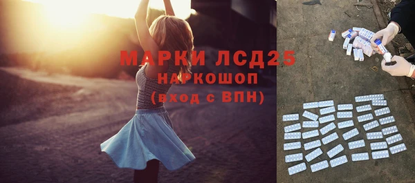 шишки Балахна