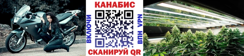 Бошки Шишки White Widow  что такое   Афипский 